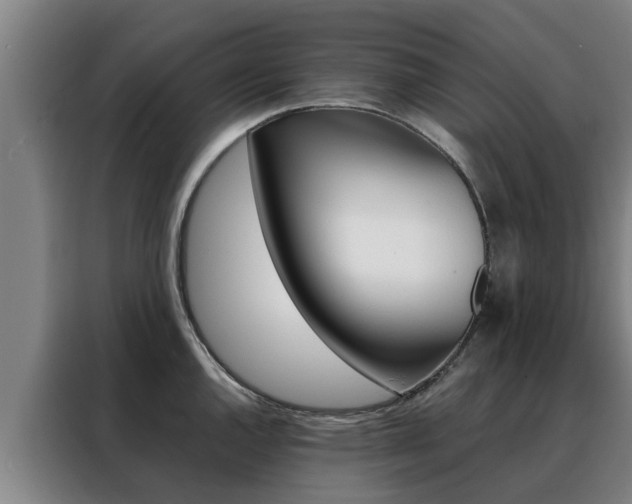 X0000088401144200705220816