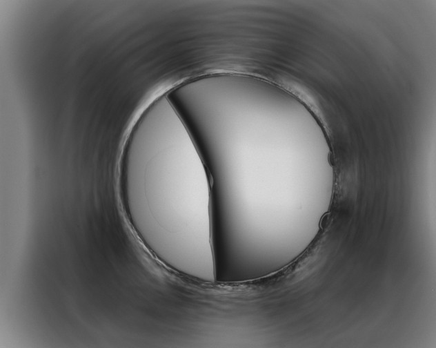 X0000088401146200705220816