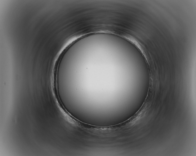 X0000088401147200705220816