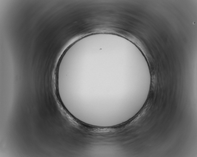 X0000088401150200705220816