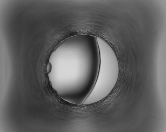 X0000088401153200705220815