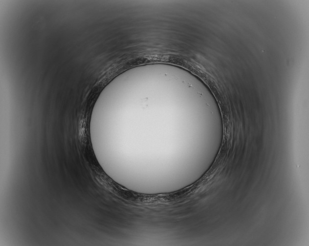 X0000088401154200705220815