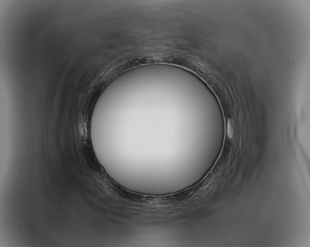 X0000088401155200705220815