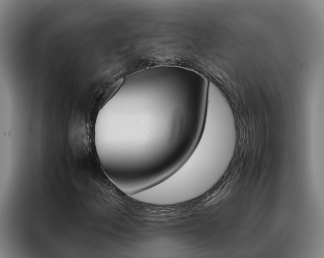 X0000088401156200705220815