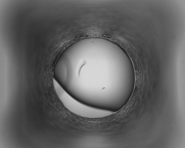 X0000088401157200705220815