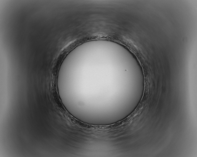 X0000088401158200705220815