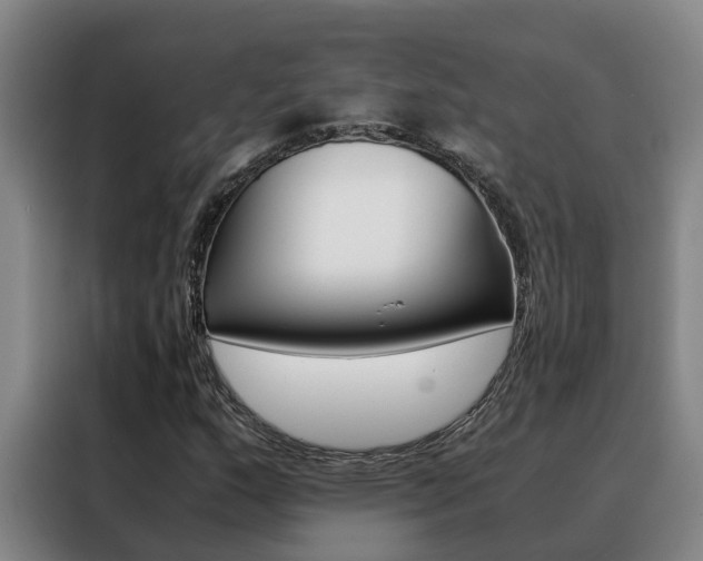 X0000088401159200705220815