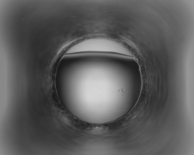 X0000088401160200705220815