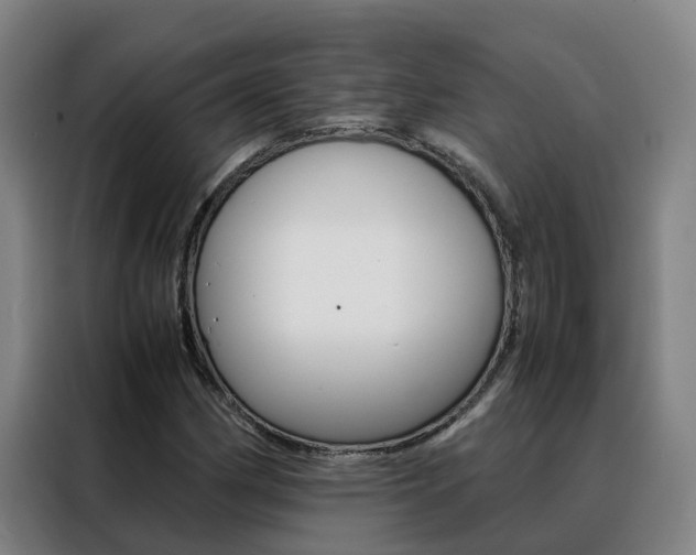 X0000088401162200705220815