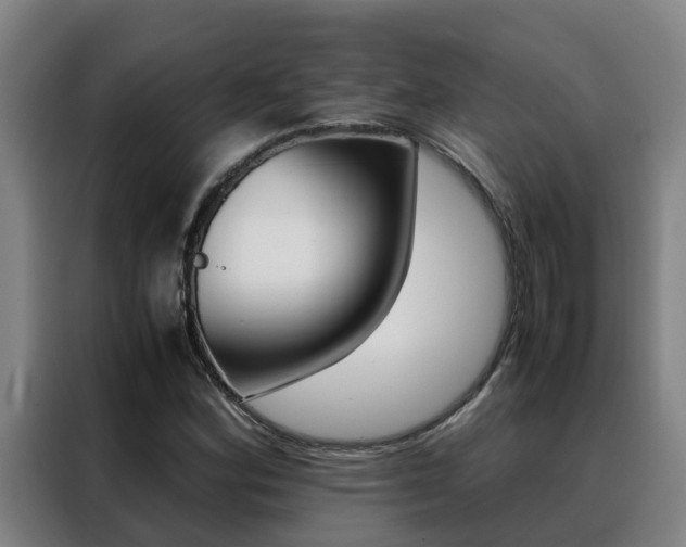 X0000088401164200705220815