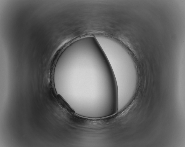 X0000088401165200705220815