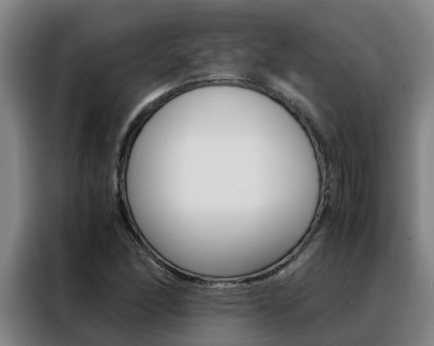 X0000088401166200705220815