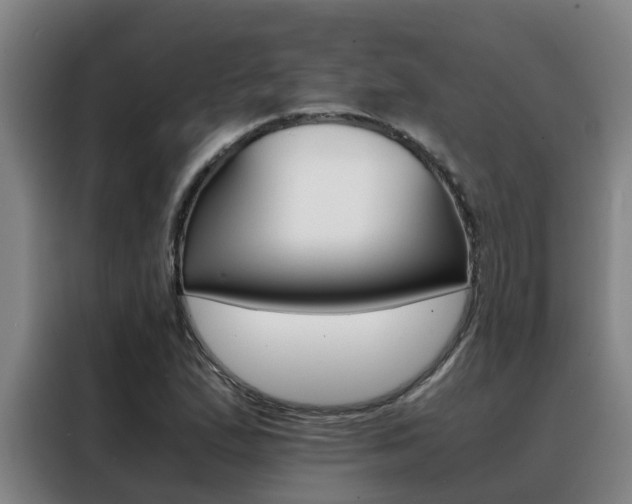 X0000088401167200705220815