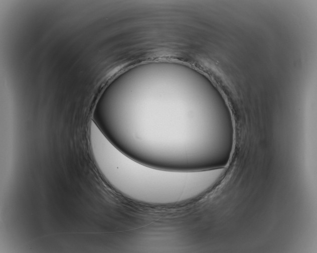 X0000088401169200705220815
