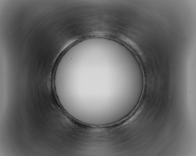 X0000088401170200705220815