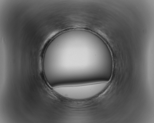 X0000088401171200705220815