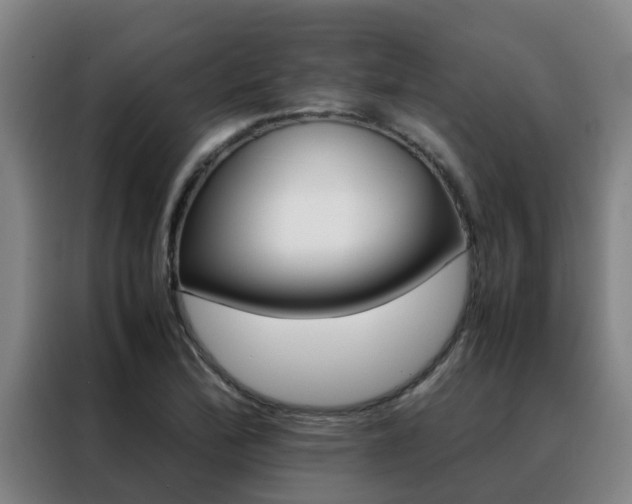 X0000088401172200705220815