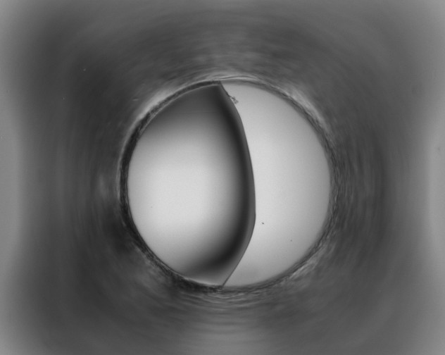 X0000088401173200705220815