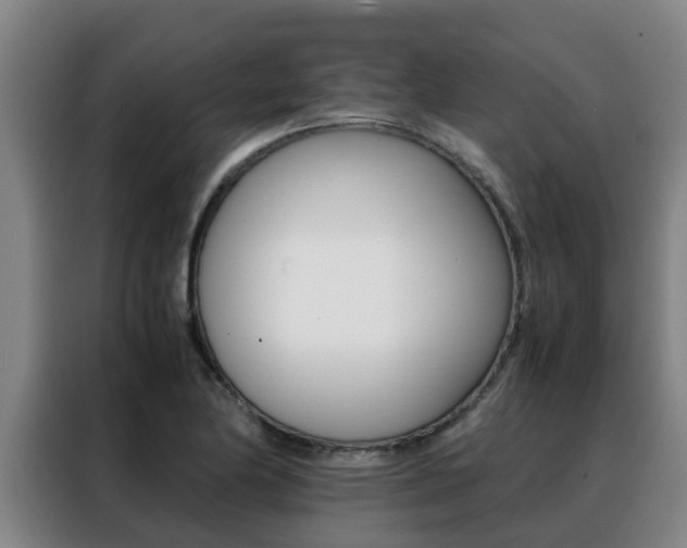 X0000088401174200705220815