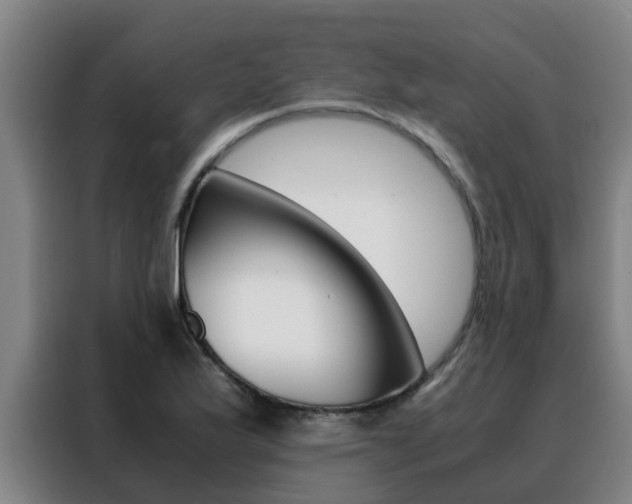 X0000088401175200705220815