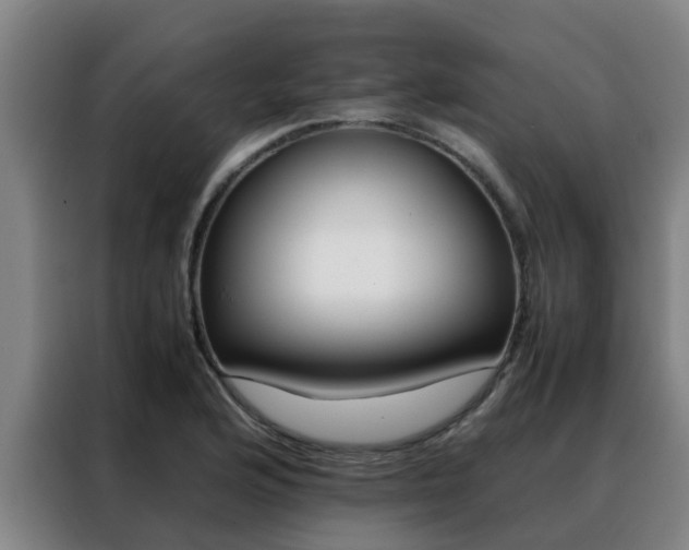 X0000088401176200705220815
