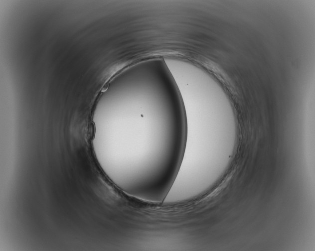 X0000088401177200705220815