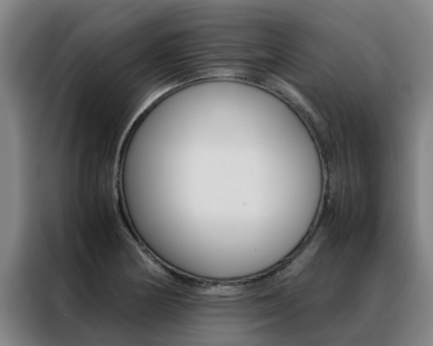 X0000088401178200705220815