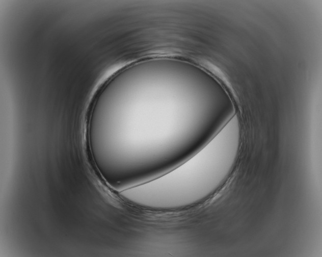 X0000088401179200705220815
