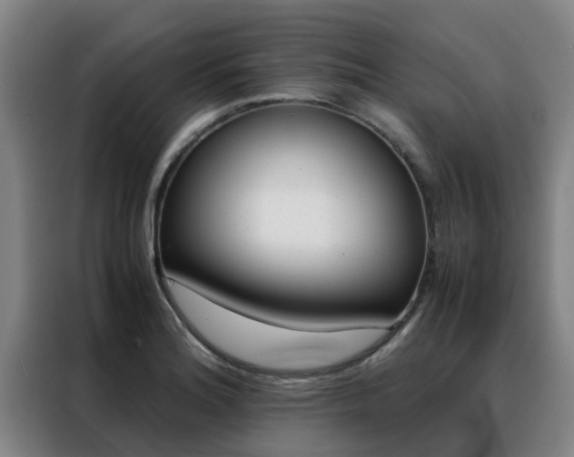 X0000088401180200705220815
