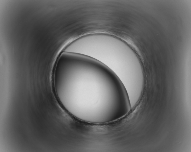 X0000088401181200705220815