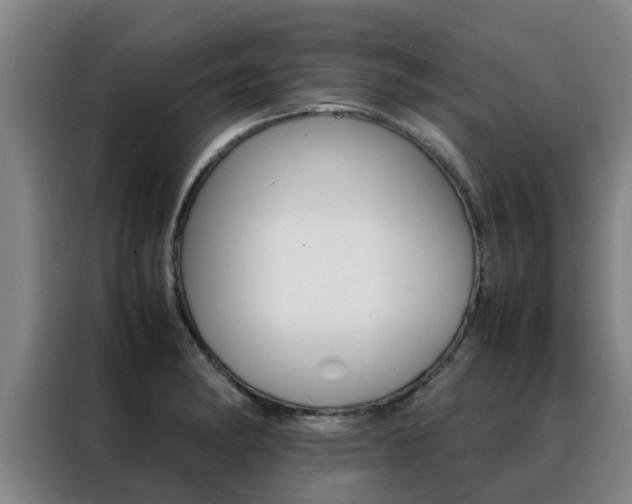 X0000088401182200705220815