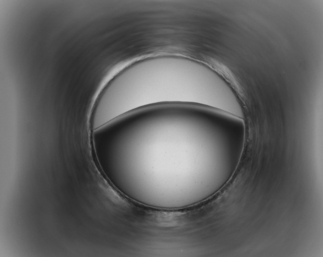 X0000088401184200705220815
