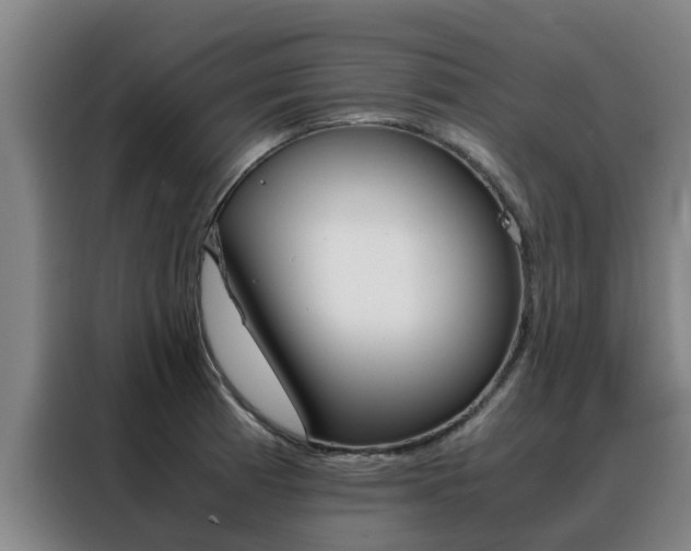 X0000088401185200705220815