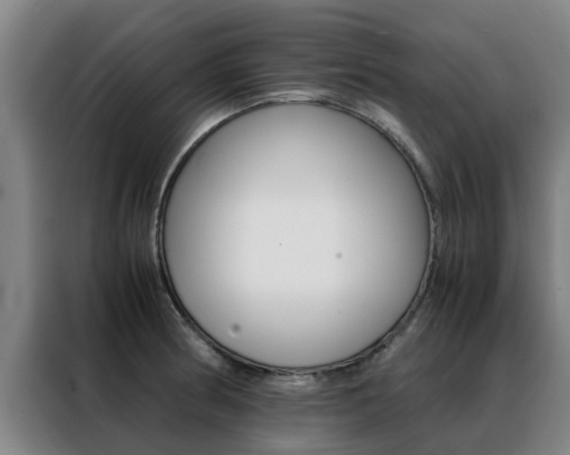 X0000088401186200705220815