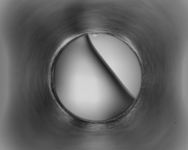 X0000088401187200705220815