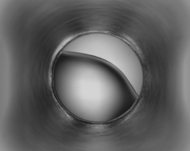 X0000088401188200705220815