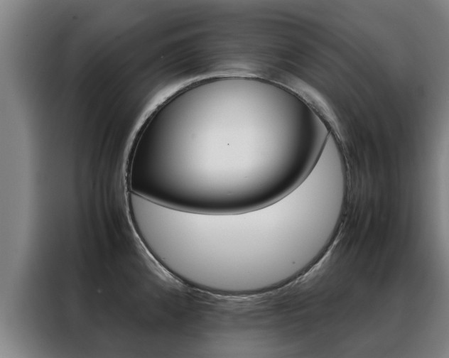 X0000088401192200705220815