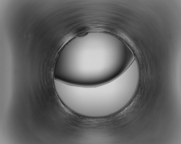 X0000088401193200705220815