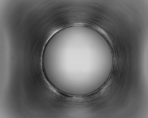 X0000088401194200705220815