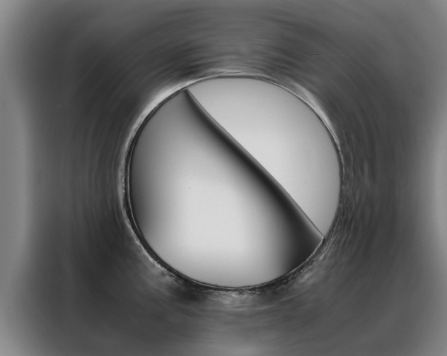 X0000088401195200705220815