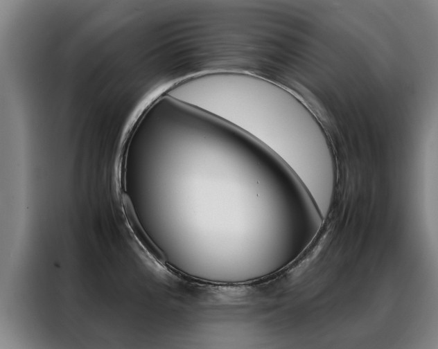 X0000088401196200705220815