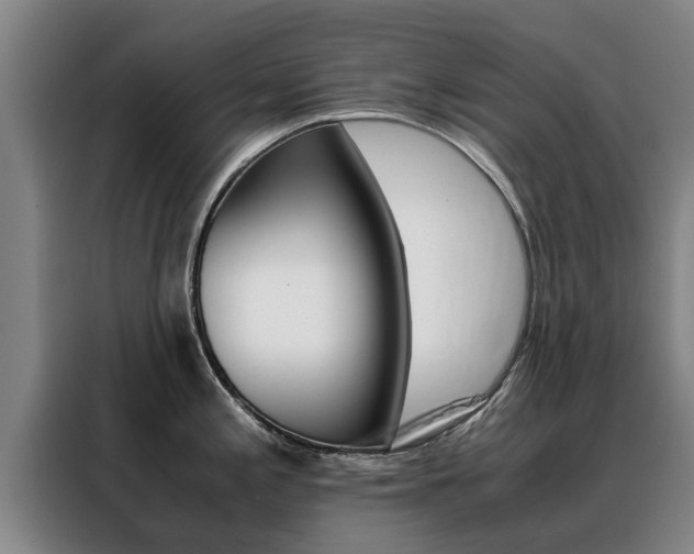 X0000088401197200705220815