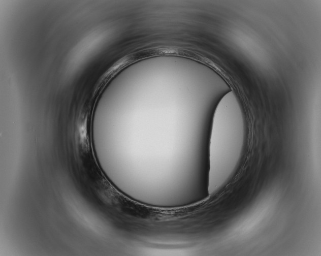 X0000088401198200705220815