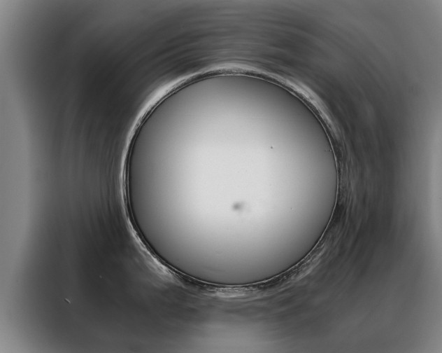 X0000088401199200705220815