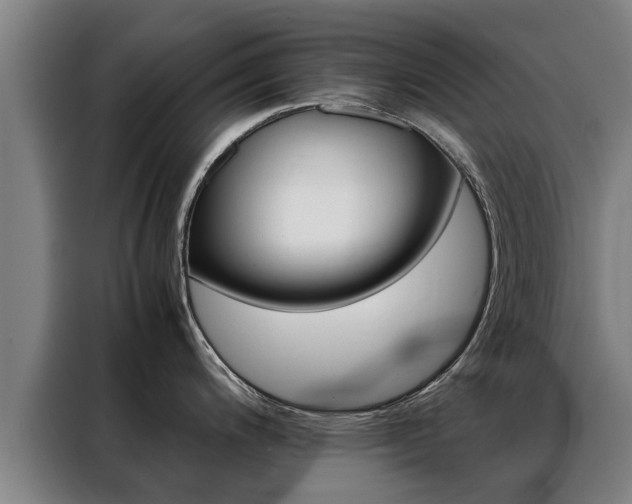 X0000088401200200705220815