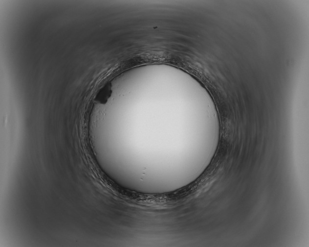 X0000088401201200705220814