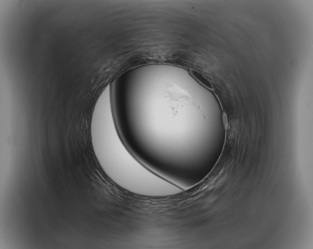 X0000088401202200705220814