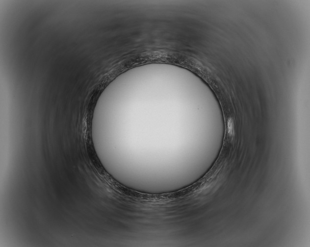X0000088401203200705220814