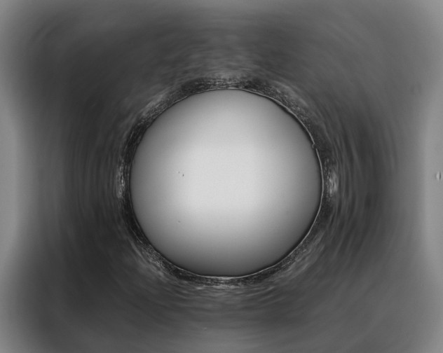 X0000088401204200705220814