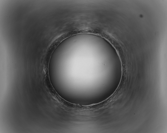X0000088401206200705220814